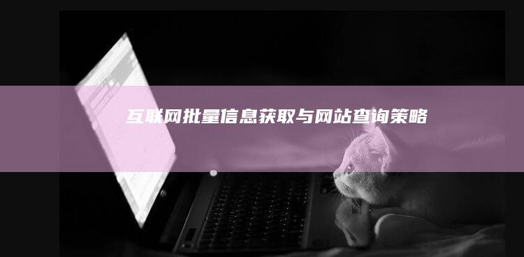 互联网批量信息获取与网站查询策略