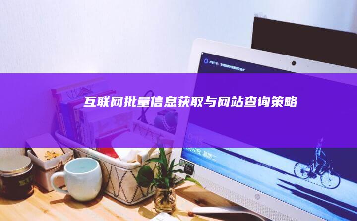 互联网批量信息获取与网站查询策略